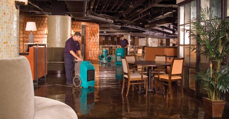 local water damage company Tampa, FL